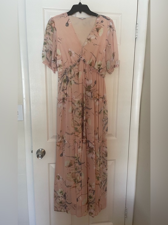Baltic Born Dresses & Skirts - Baltic Born Blush Floral V-Neck Maxi Dress
